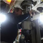 Profesor particular. Licenciado en univ. Autònoma. Gran experiencia. Referencias. Seriedad. 10€ hora